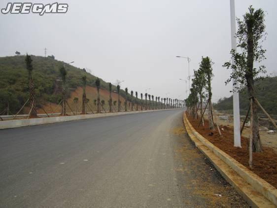 Pingguo County town Avenue Project